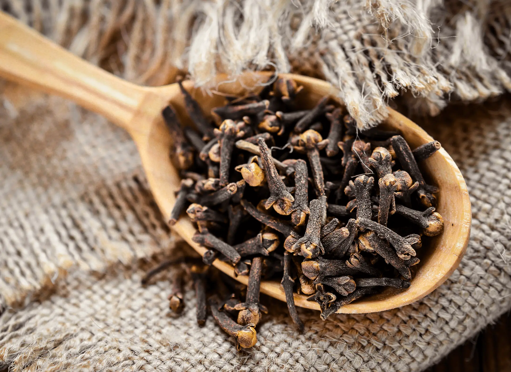 Tea Tree Oil